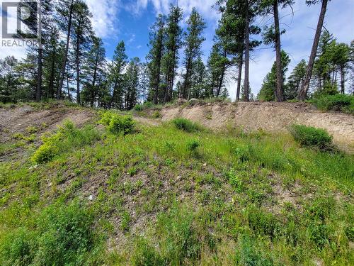 Lot 76 Copper Point Way, Windermere, BC 