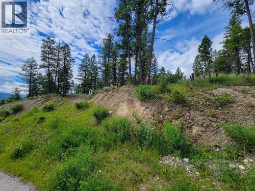 Lot 76 Copper Point Way, Windermere, BC 