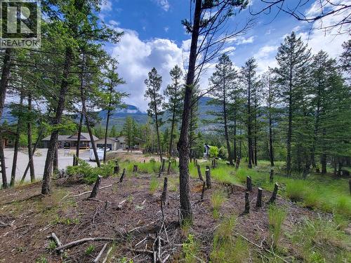 Lot 76 Copper Point Way, Windermere, BC 