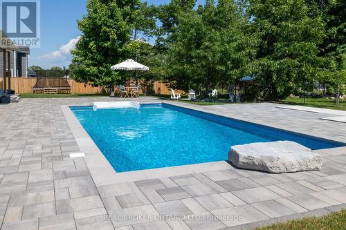 19 Cheslock Crescent, Oro-Medonte, ON - Outdoor With In Ground Pool With Backyard
