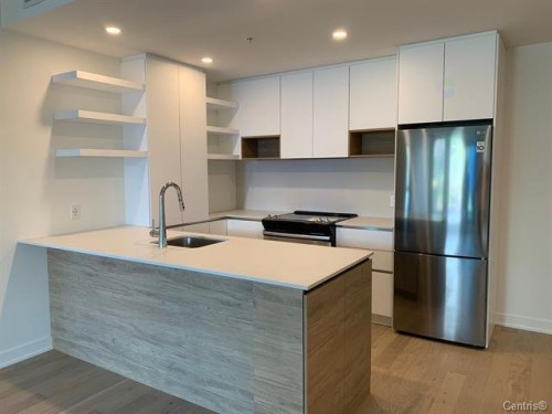 Cuisine - 226-201 Rue Jacques-Le Ber, Montréal (Verdun/Île-Des-Soeurs), QC - Indoor Photo Showing Kitchen