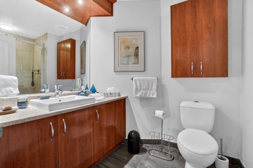 Bathroom - 108-1665 Av. Victoria, Saint-Lambert, QC - Indoor Photo Showing Bathroom