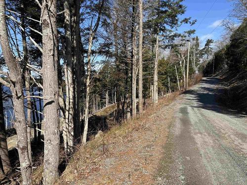 Lot 128 Nathan Croft Road, Camperdown, NS 