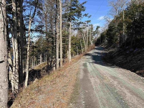 Lot 128 Nathan Croft Road, Camperdown, NS 