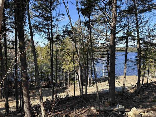 Lot 128 Nathan Croft Road, Camperdown, NS 