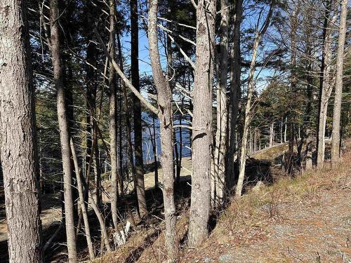 Lot 128 Nathan Croft Road, Camperdown, NS 