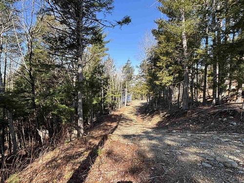 Lot 128 Nathan Croft Road, Camperdown, NS 