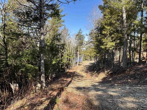Lot 128 Nathan Croft Road, Camperdown, NS 
