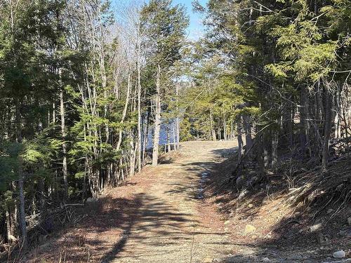 Lot 128 Nathan Croft Road, Camperdown, NS 