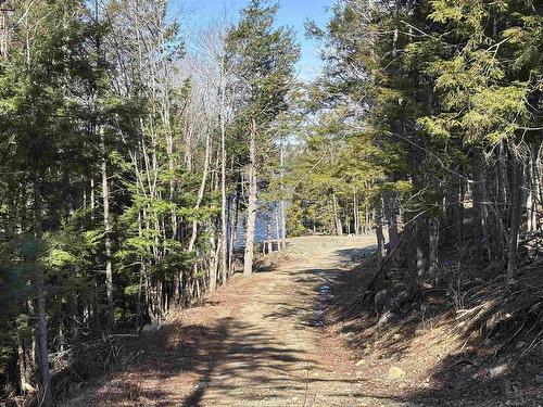 Lot 128 Nathan Croft Road, Camperdown, NS 