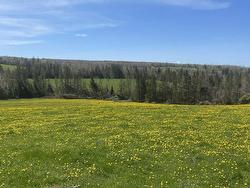 19521 RTE 2 Greenvale, PE C0A 1N0