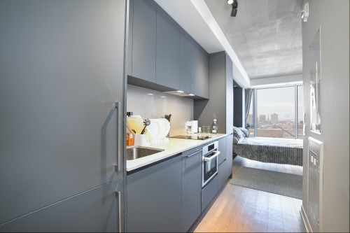 Kitchen - 1704-360 Rue Mayor, Montréal (Ville-Marie), QC - Indoor Photo Showing Kitchen With Upgraded Kitchen