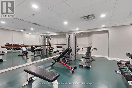 113 - 309 Major Mackenzie Drive E, Richmond Hill, ON - Indoor Photo Showing Gym Room