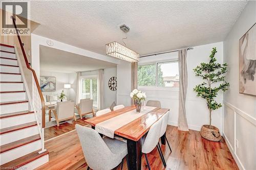 39 Southwood Drive, Kitchener, ON - Indoor Photo Showing Dining Room