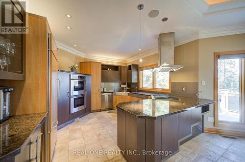24 Maplehyrn Avenue, East Gwillimbury, ON - Indoor Photo Showing Kitchen With Upgraded Kitchen