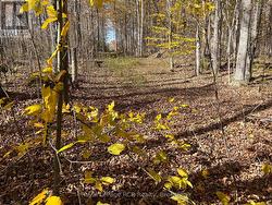 PART LOT 17 GREY ROAD 17 ROAD E Georgian Bluffs, ON N0H 2T0