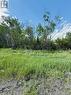 0 Highway 17 - Pin 314210954, Spanish, ON 