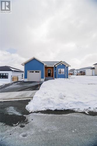 17 Electra Drive  St. John's, NL A1A 0V3