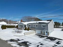 68 Theriault ST Grand Falls, NB E3Y 1B5