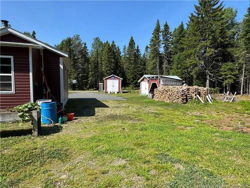 11 Burt Cliff Rd, Juniper, NB 
