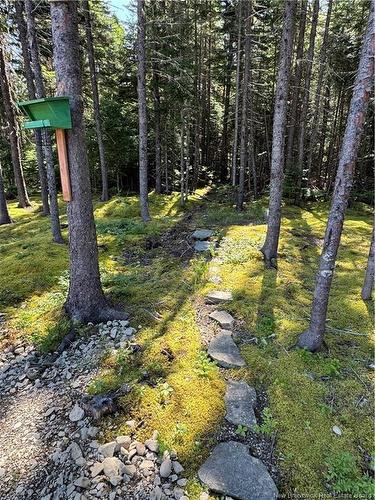 11 Burt Cliff Rd, Juniper, NB 