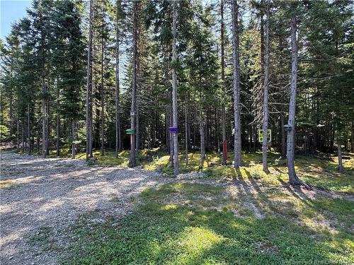 11 Burt Cliff Rd, Juniper, NB 