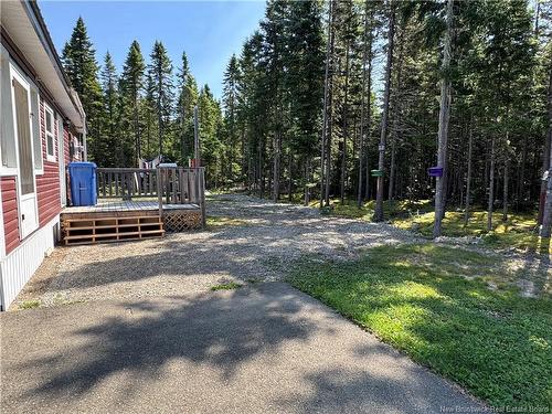 11 Burt Cliff Rd, Juniper, NB 