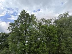 210 Sixth St E Fort Frances, ON P9A 1W7