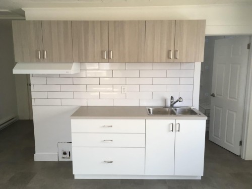 Logement - 7  - 9 Rue Taschereau E., Rouyn-Noranda, QC - Indoor Photo Showing Kitchen With Double Sink