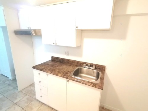 Logement - 7  - 9 Rue Taschereau E., Rouyn-Noranda, QC - Indoor Photo Showing Kitchen With Double Sink