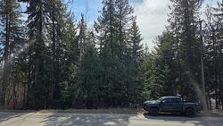 7502 Estate Drive  Anglemont, BC V0E 1M8