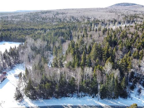 Lot 107 Rte, Juniper, NB 