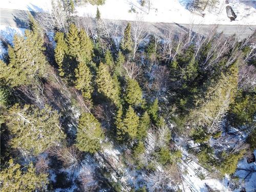 Lot 107 Rte, Juniper, NB 