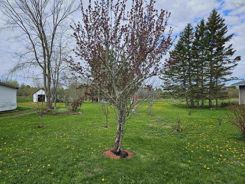 37 Morris Street, Springhill, NS 