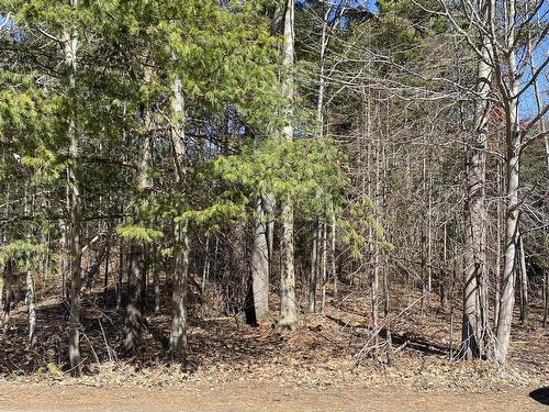 20 Mountain View Road, Coldbrook, NS 