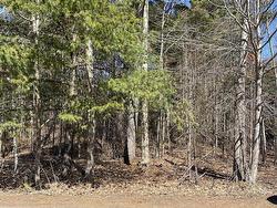 20 Mountain View Road Coldbrook, NS B4R 1B4