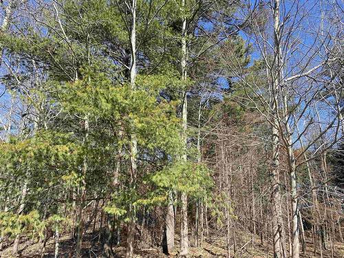 20 Mountain View Road, Coldbrook, NS 