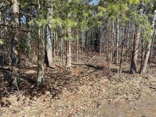 20 Mountain View Road, Coldbrook, NS 