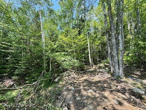 5 Joseph Street, Labelle, NS 