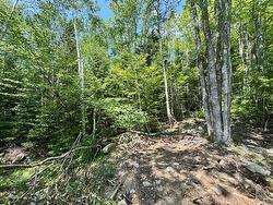 5 St Joseph Street Labelle, NS B0T 1E0