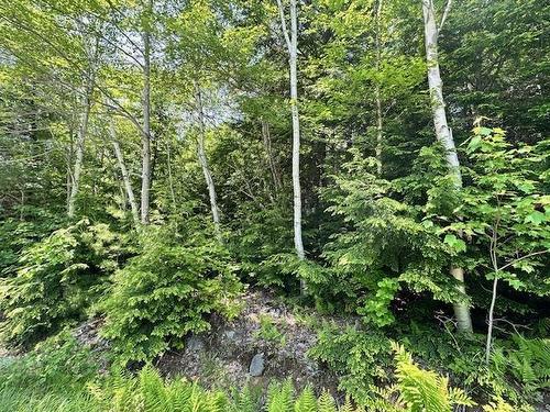 5 Joseph Street, Labelle, NS 