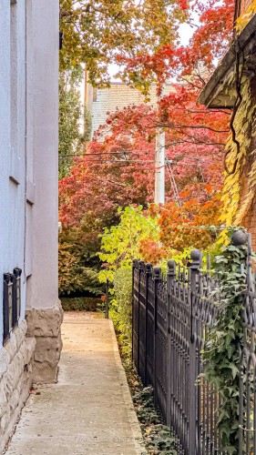 3 Turner Avenue, Hamilton, ON - Outdoor