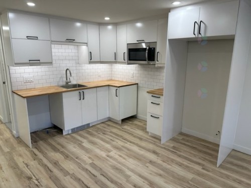 Kitchen - 6793 43E Avenue, Montréal (Rosemont/La Petite-Patrie), QC - Indoor Photo Showing Kitchen With Upgraded Kitchen
