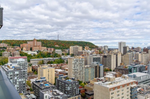 View - 610-2320 Rue Tupper, Montréal (Ville-Marie), QC - Outdoor With View