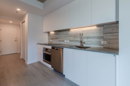 Kitchen - 1103-2300 Rue Tupper, Montréal (Ville-Marie), QC - Indoor Photo Showing Kitchen