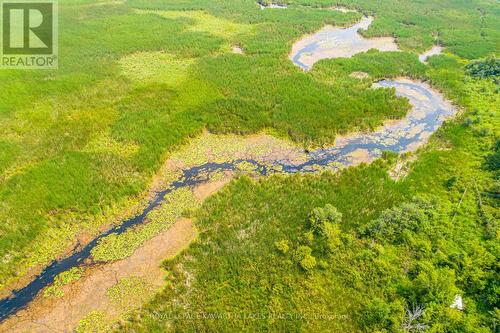 Pt Lt 13 Con 6, Brock, ON 