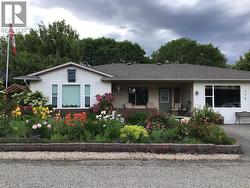 Front yard when in full bloom - 
