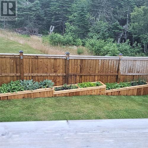 35 Donegal Run, St. John’S, NL - Outdoor