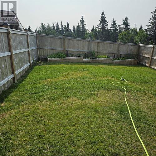35 Donegal Run, St. John’S, NL - Outdoor With Backyard