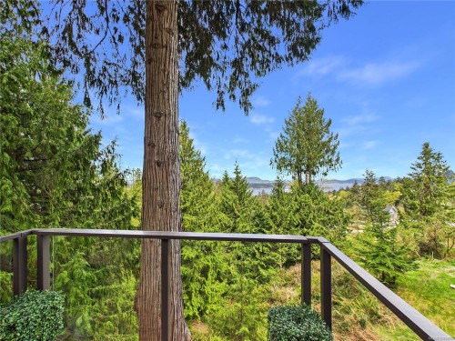 182 Devine Dr, Salt Spring, BC - Outdoor With View